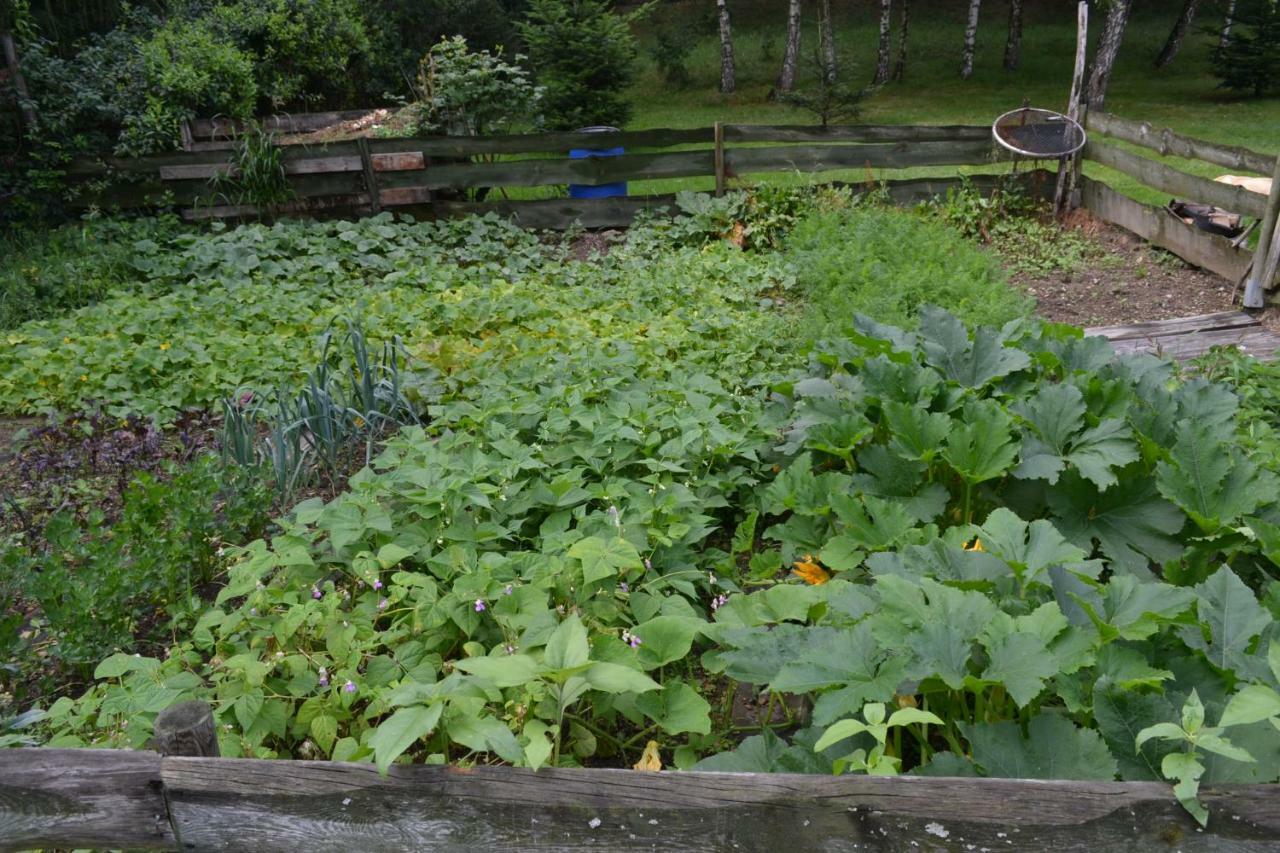 Agroturystyka Teosiowo Pobiedna Exterior foto